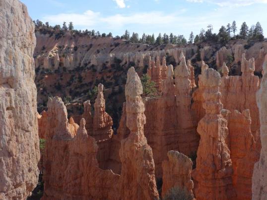 13669329_10210459311459471_5624726729519893938_o