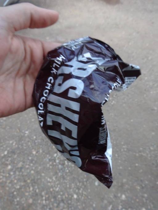 13731837_10210459312619500_5206798628973858734_o