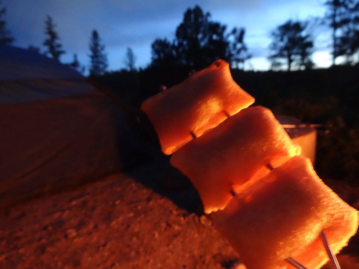 13731878_10210459313059511_8190577425175333178_o