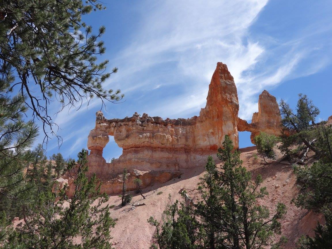 13737489_10210459305139313_2700037962333550612_o