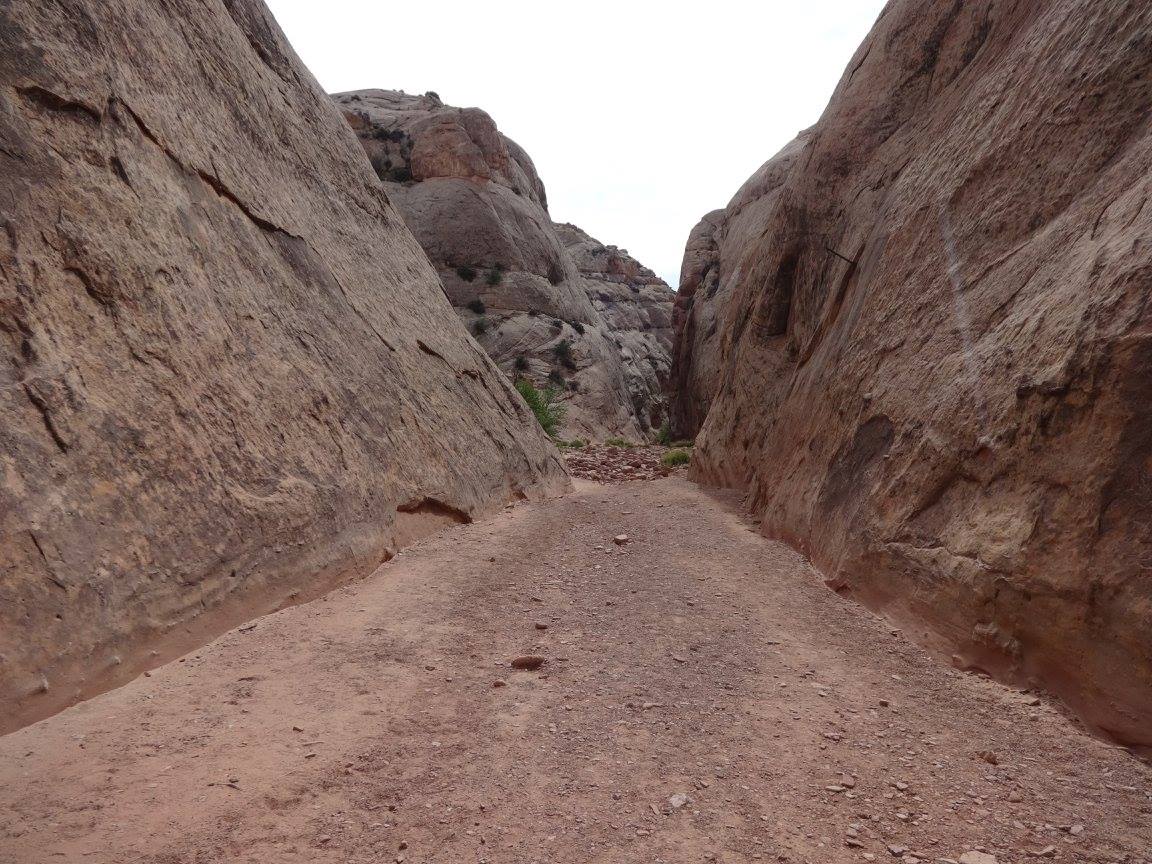 13738071_10210469450032929_2811238607855046720_o