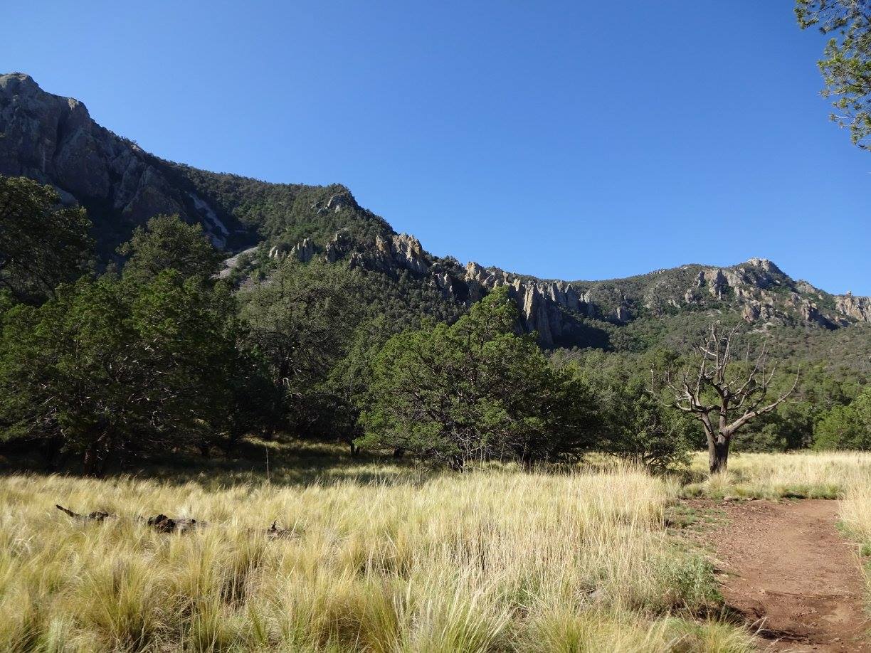 19621310_10214182250650624_7332457310714695452_o