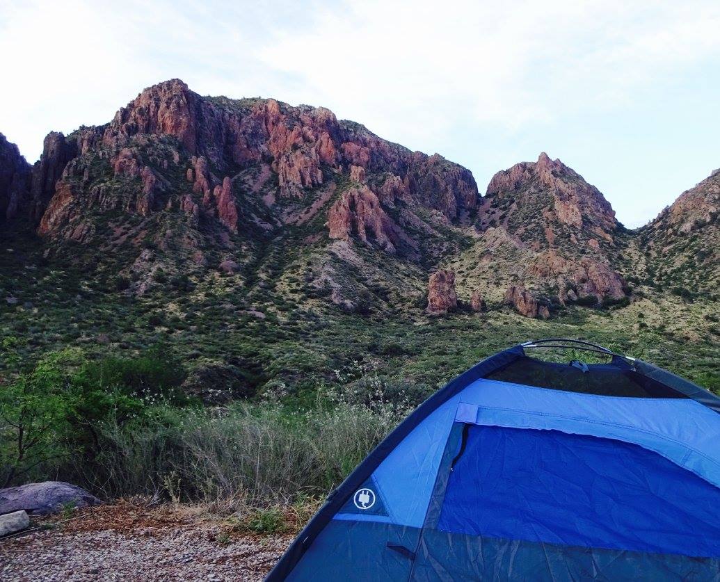 19667576_10214182234850229_2593713154650568465_o