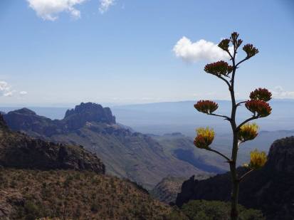 19693384_10214182230570122_6254901748591647210_o