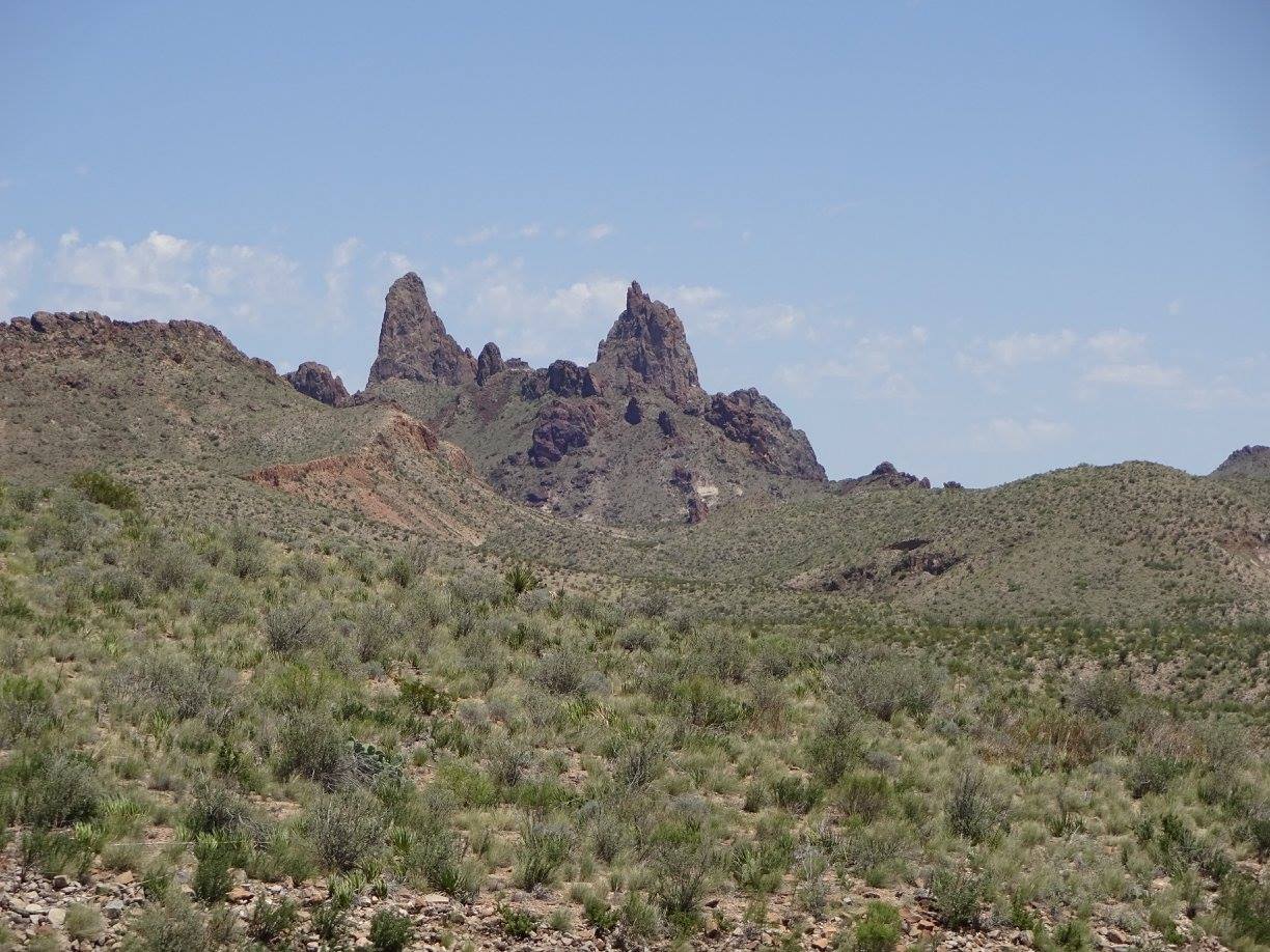 19488749_10214182239610348_5766597606567636851_o