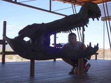 19575197_10214182232690175_5523220705420299641_o