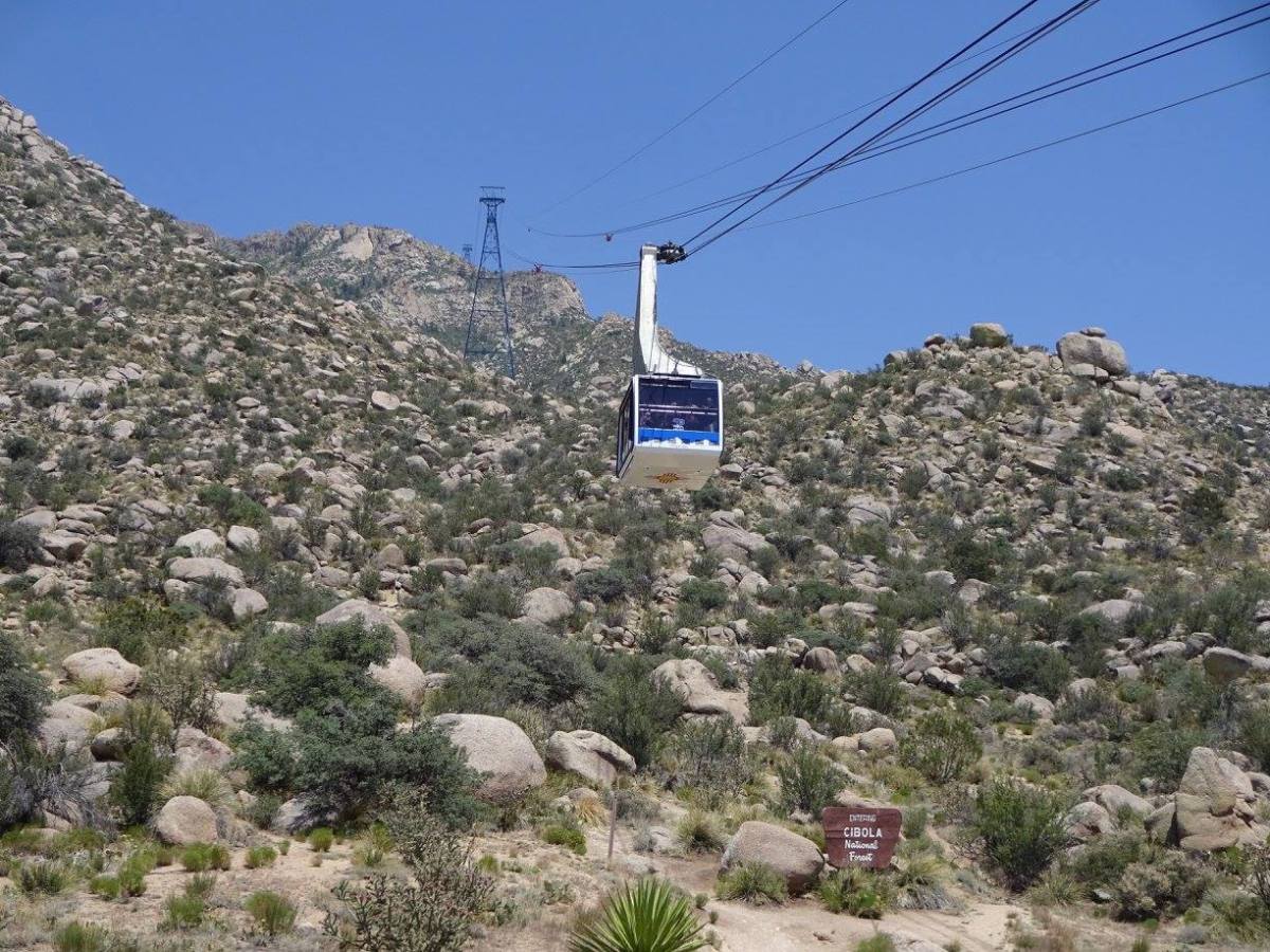 19667550_10214200969158575_7233194904257373901_o