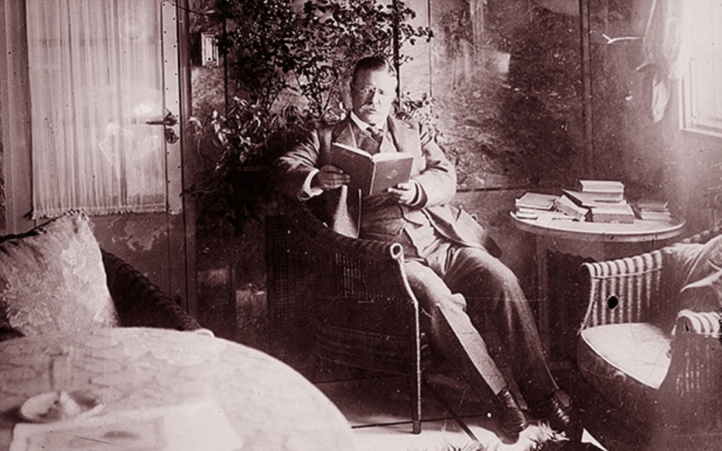 Theodore Roosevelt Reading a book